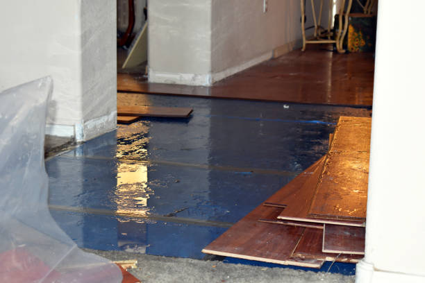 Professional Burst Pipe Cleanup technician working in Prather, CA